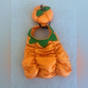 Dog Halloween Costume Sparkly Pumpkin with Pumpkin Stem Hat